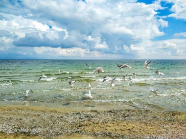 Sonbahar sezonu, deniz sahilinde güzel gökyüzü