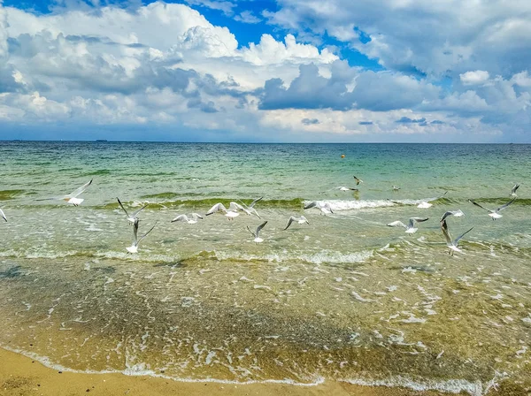 Хорошее Небо Морском Пляже Осенний Сезон — стоковое фото