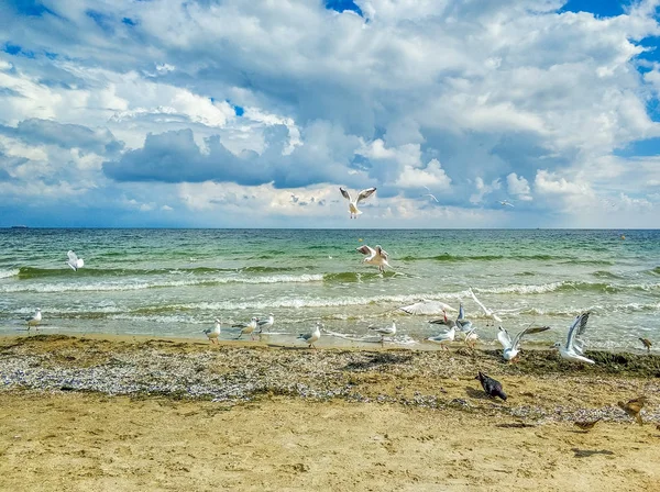 Mooie Hemel Het Strand Van Zee Het Herfst Seizoen — Stockfoto