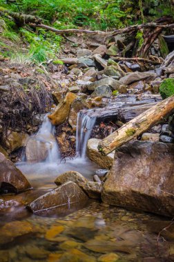 Sonbahar sezonu Karpat Dağlarında küçük dere
