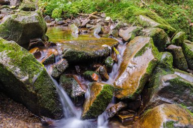 Sonbahar sezonu Karpat Dağlarında küçük dere