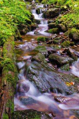Sonbahar sezonu Karpat Dağlarında küçük dere