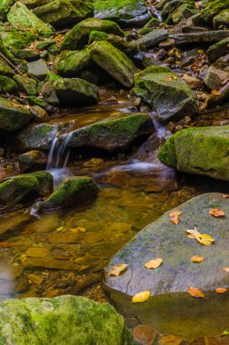 Sonbahar sezonu Karpat Dağlarında küçük dere