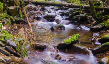 Sonbahar sezonu Karpat Dağlarında küçük dere