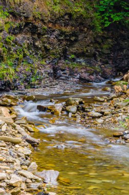 Sonbahar sezonu Karpat Dağlarında küçük dere