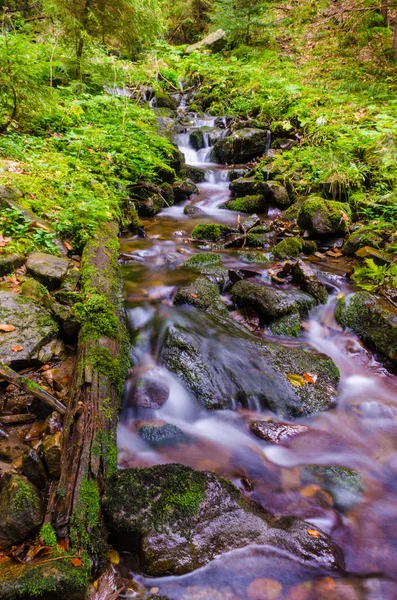 Kleine Kreek Karpaten Het Herfst Seizoen — Stockfoto