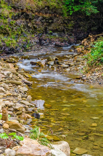 Kleiner Bach Den Karpaten Der Herbstsaison — Stockfoto