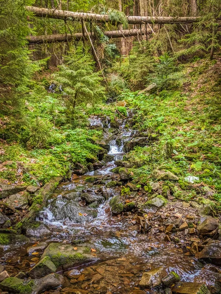 Piccolo Torrente Nelle Montagne Dei Carpazi Nella Stagione Autunnale — Foto Stock