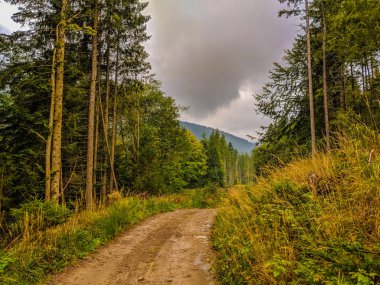 Sis sonbahar sezonu sırasında Karpat Dağları manzara