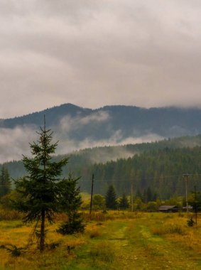 Sis sonbahar sezonu sırasında Karpat Dağları manzara