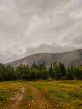 Sis sonbahar sezonu sırasında Karpat Dağları manzara