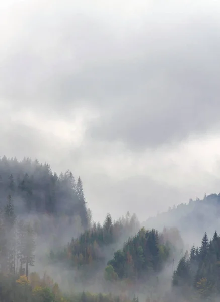 Paisaje Las Montañas Los Cárpatos Durante Niebla Temporada Otoño — Foto de Stock