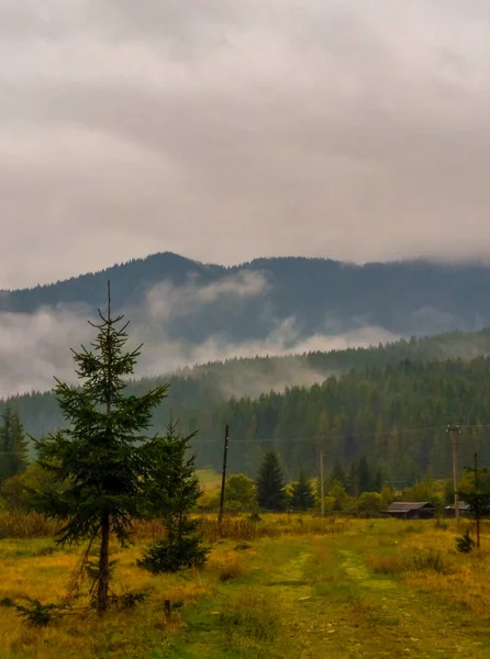 Krajobraz Karpat Podczas Mgły Sezonie Jesiennym — Zdjęcie stockowe