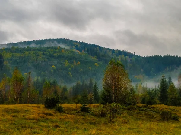 秋季雾中的大兴安岭景观 — 图库照片