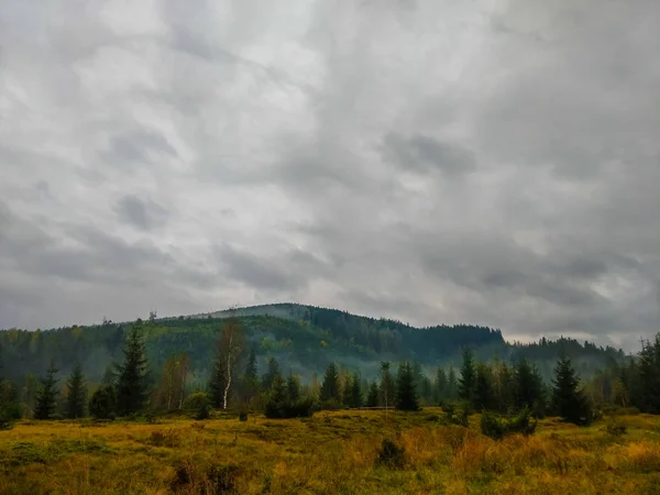 Sis Sonbahar Sezonu Sırasında Karpat Dağları Manzara — Stok fotoğraf