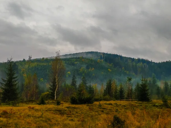 Karpaterna Landskapet Mist Höstsäsongen — Stockfoto