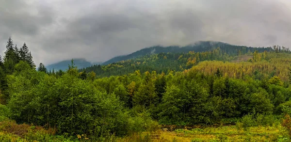 Carpathian Mountains Landscape Mist Autumn Season — Stock Photo, Image