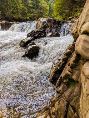 Küçük şelale Ukrayna Karpat Dağları
