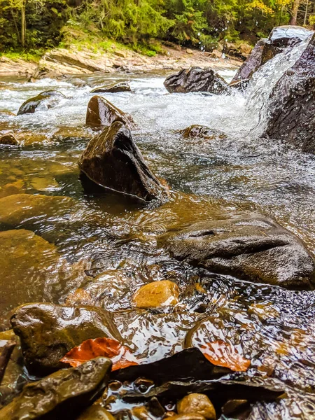 Der Kleine Wasserfall Den Ukrainischen Karpaten — Stockfoto