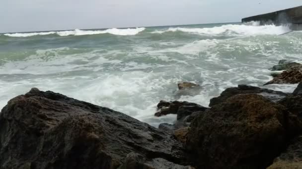 Golven Van Zee Het Herfst Seizoen — Stockvideo