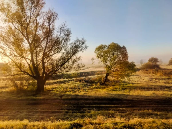 Feld Morgen Der Herbstsaison — Stockfoto