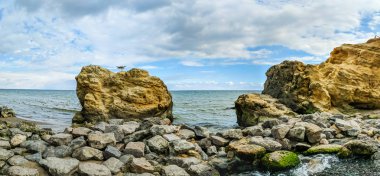 Sonbahar mevsiminde denizde küçük dere