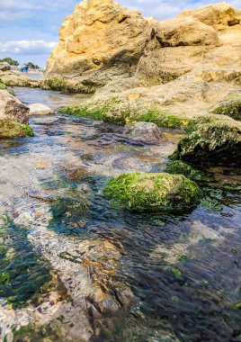 Sonbahar mevsiminde denizde küçük dere