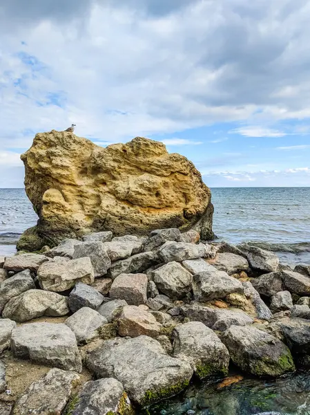 Kleine Kreek Zee Tijdens Het Herfst Seizoen — Stockfoto