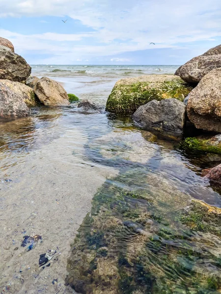 Kleine Kreek Zee Tijdens Het Herfst Seizoen — Stockfoto