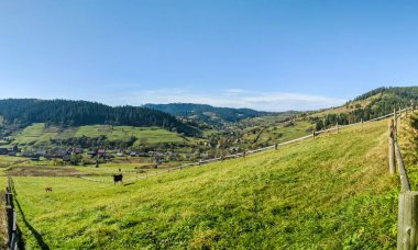 Sonbahar sezonu güneşli günde Karpat Dağları