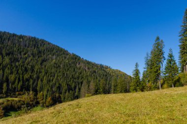 Sonbahar sezonu güneşli günde Karpat Dağları