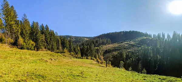 Sonbahar Sezonu Güneşli Günde Karpat Dağları — Stok fotoğraf