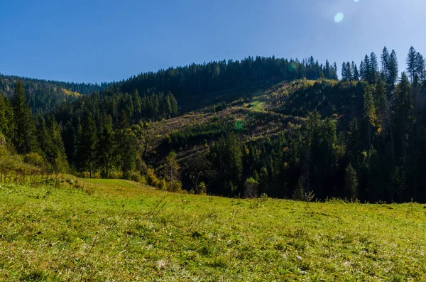 Carpathian Mountains Sunny Day Autumn Season — Stock Photo, Image