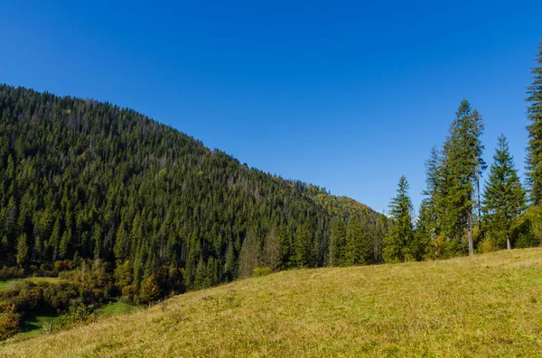 Karpaten Zonnige Dag Herfst Seizoen — Stockfoto