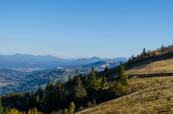 Karpaten Bei Sonnigem Herbstwetter — Stockfoto