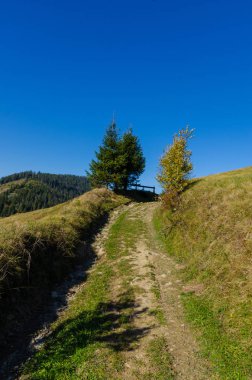 Sonbahar sezonu güneşli günde Karpat Dağları