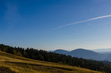 Sonbahar sezonu güneşli günde Karpat Dağları