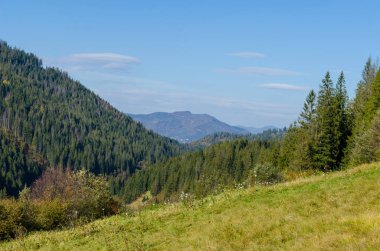 Sonbahar sezonu güneşli günde Karpat Dağları