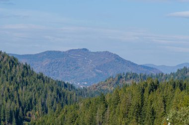 Sonbahar sezonu güneşli günde Karpat Dağları