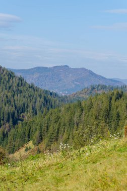 Sonbahar sezonu güneşli günde Karpat Dağları