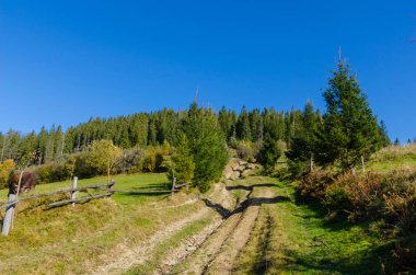 Sonbahar sezonu güneşli günde Karpat Dağları