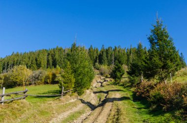 Sonbahar sezonu güneşli günde Karpat Dağları