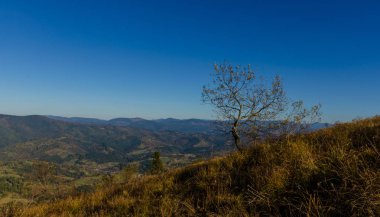 Sonbahar sezonu güneşli günde Karpat Dağları