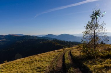 Sonbahar sezonu güneşli günde Karpat Dağları
