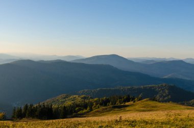 Sonbahar sezonu güneşli günde Karpat Dağları