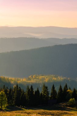 Sonbahar sezonu güneşli günde Karpat Dağları