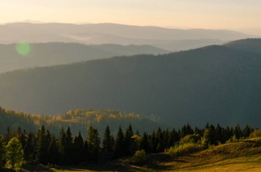 Sonbahar sezonu güneşli günde Karpat Dağları