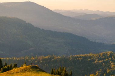 Sonbahar sezonu güneşli günde Karpat Dağları