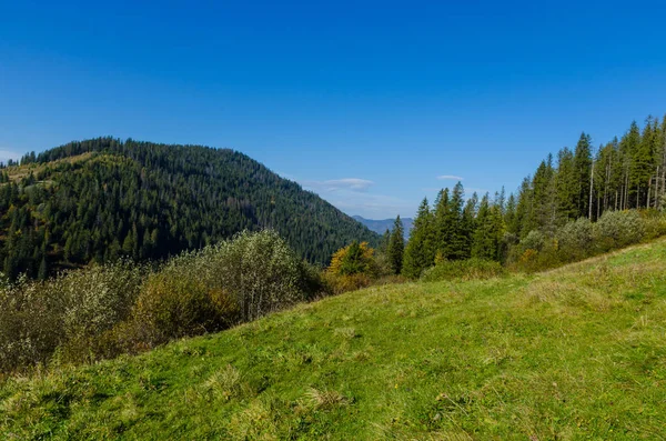 Sonbahar Sezonu Güneşli Günde Karpat Dağları — Stok fotoğraf