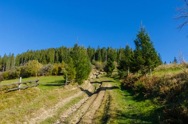 Karpaty Slunečný Den Podzimní Sezóně — Stock fotografie